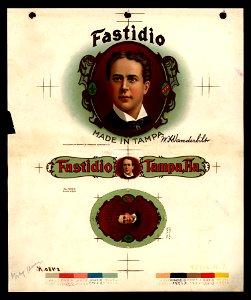 Fastidio