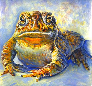 old toad...
