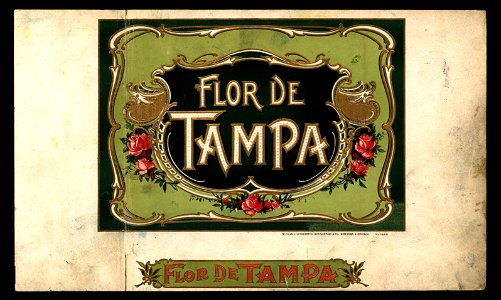 Flor de Tampa