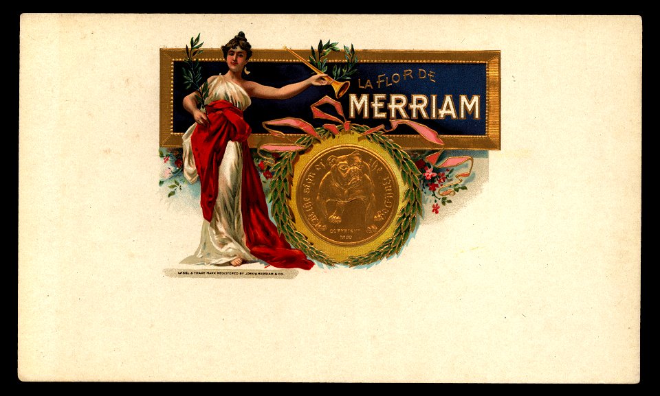 Flor de Merriam