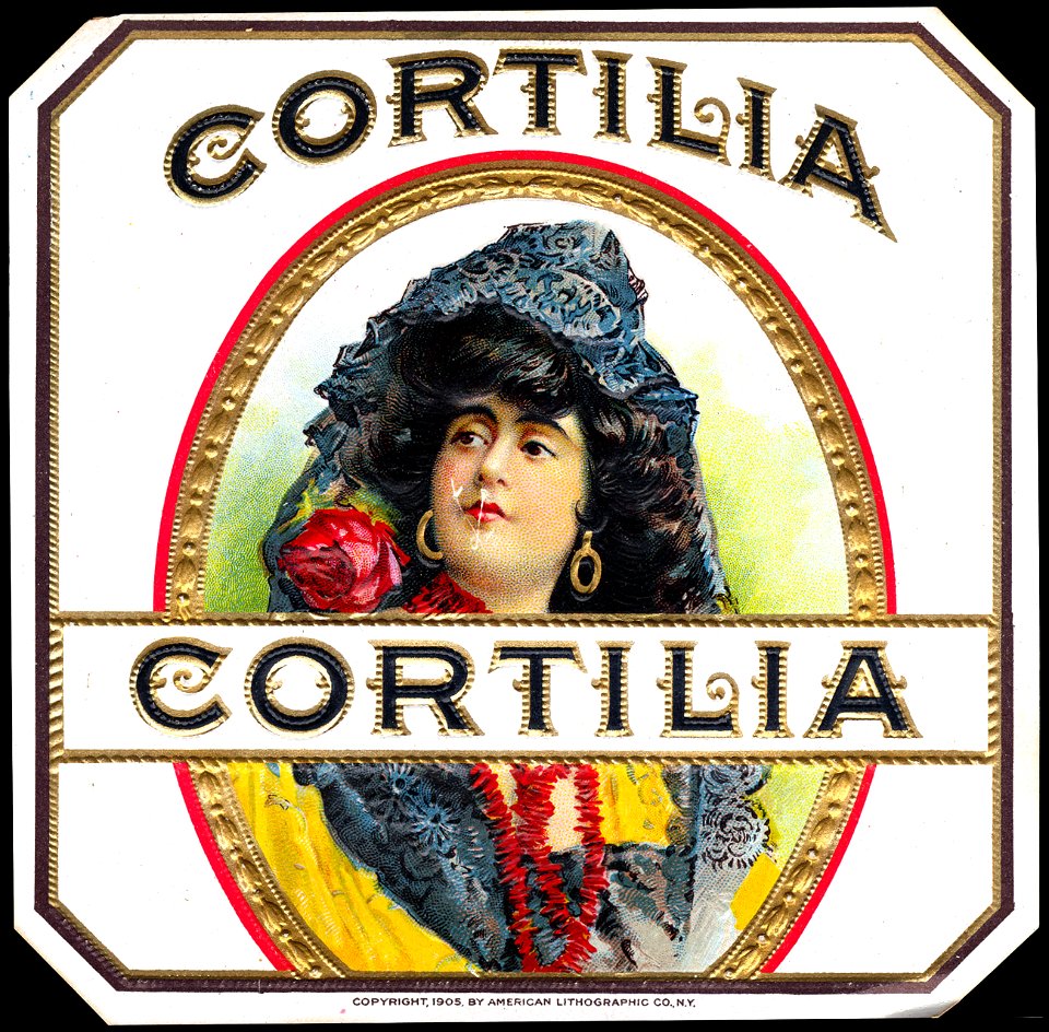 Cortilla