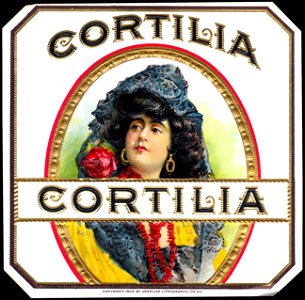 Cortilla