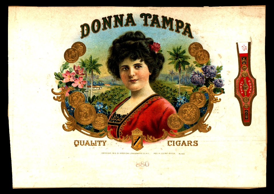 Donna Tampa