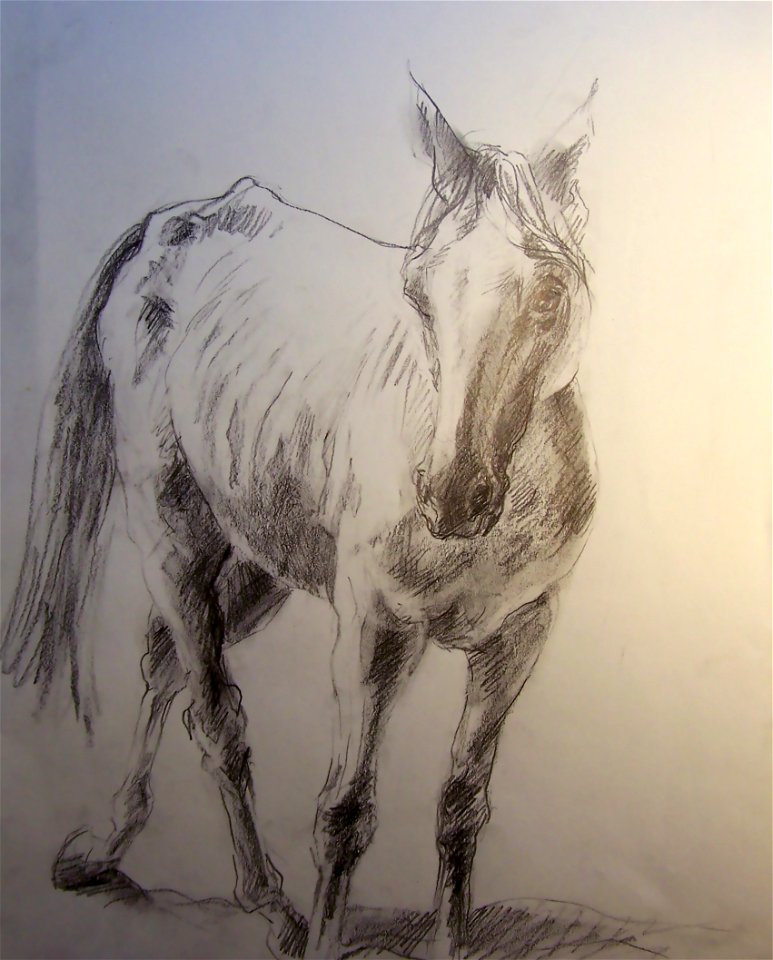 horse11:30:12. Free illustration for personal and commercial use.