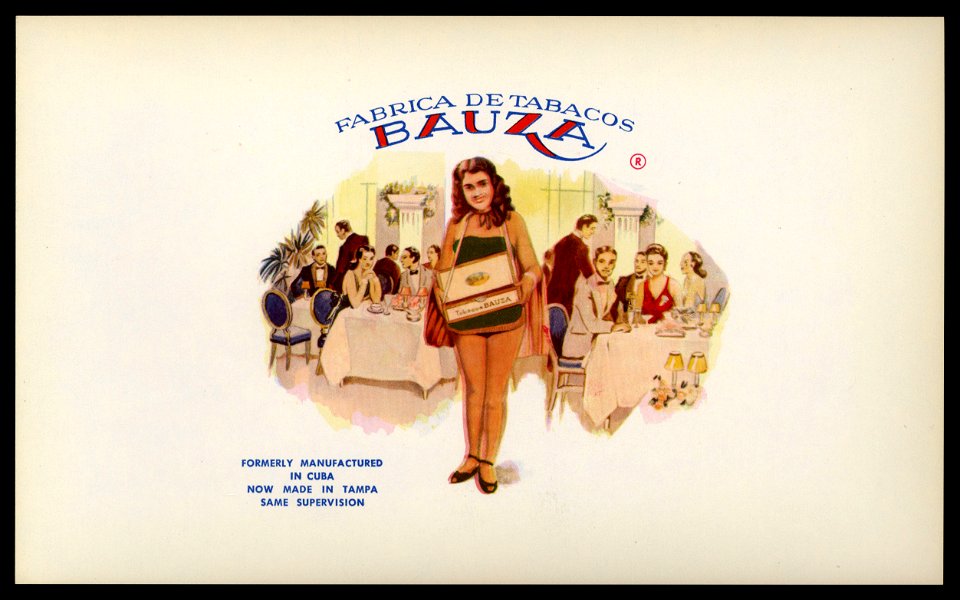 Bauza