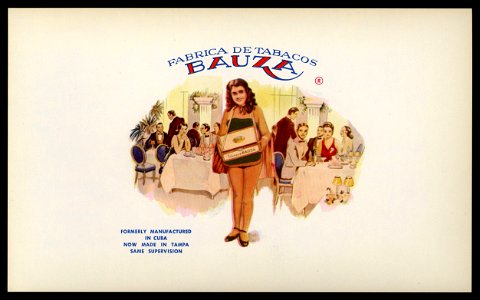 Bauza