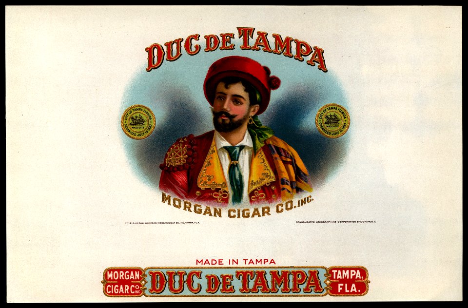 Duc De Tampa