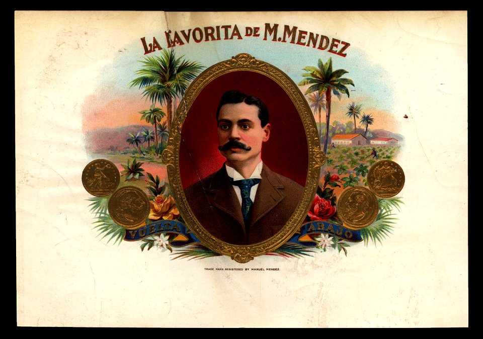 La Favorita de M. Mendez