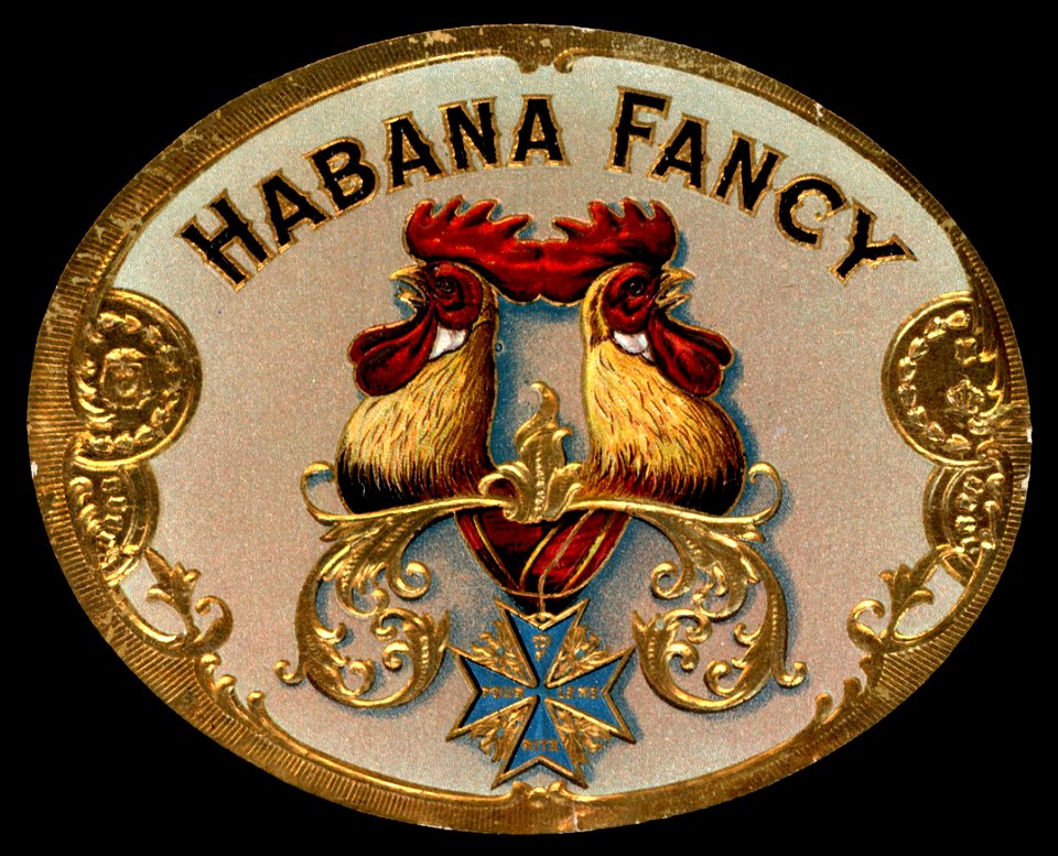 Habana Fancy