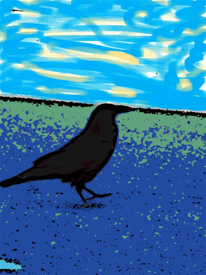 Black bird 2.