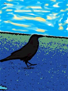 Black bird 2.. Free illustration for personal and commercial use.