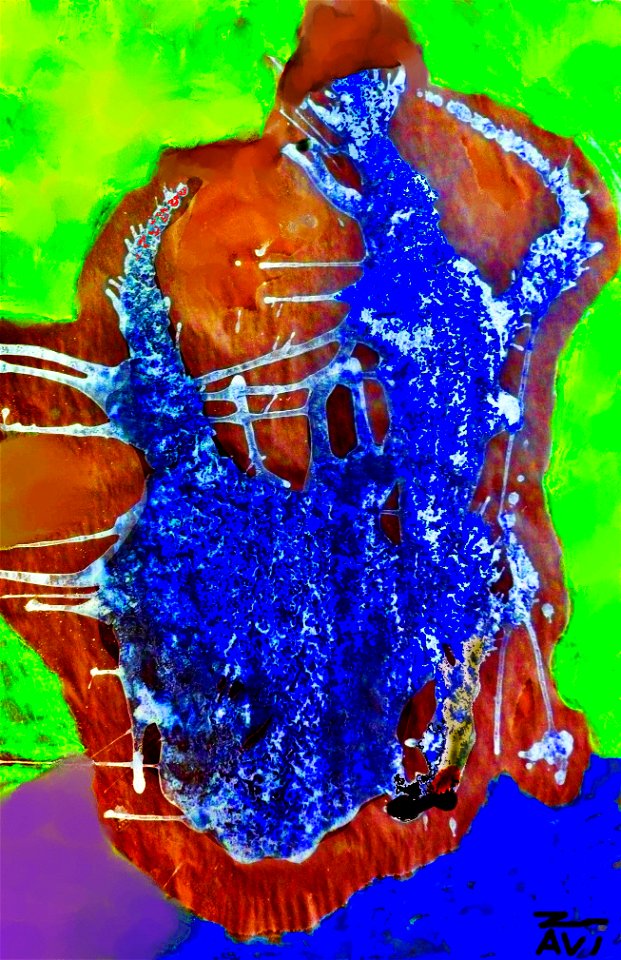 Bullfighting in blue.
