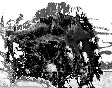 The beginning of cave art.