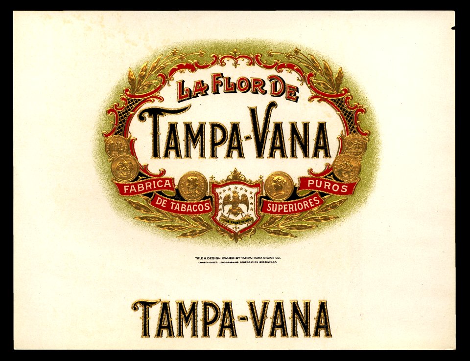 La FLor de Tampa-Vana