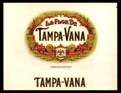 La FLor de Tampa-Vana. Free illustration for personal and commercial use.