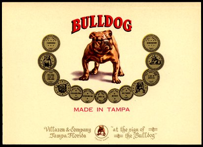 Bulldog. Free illustration for personal and commercial use.