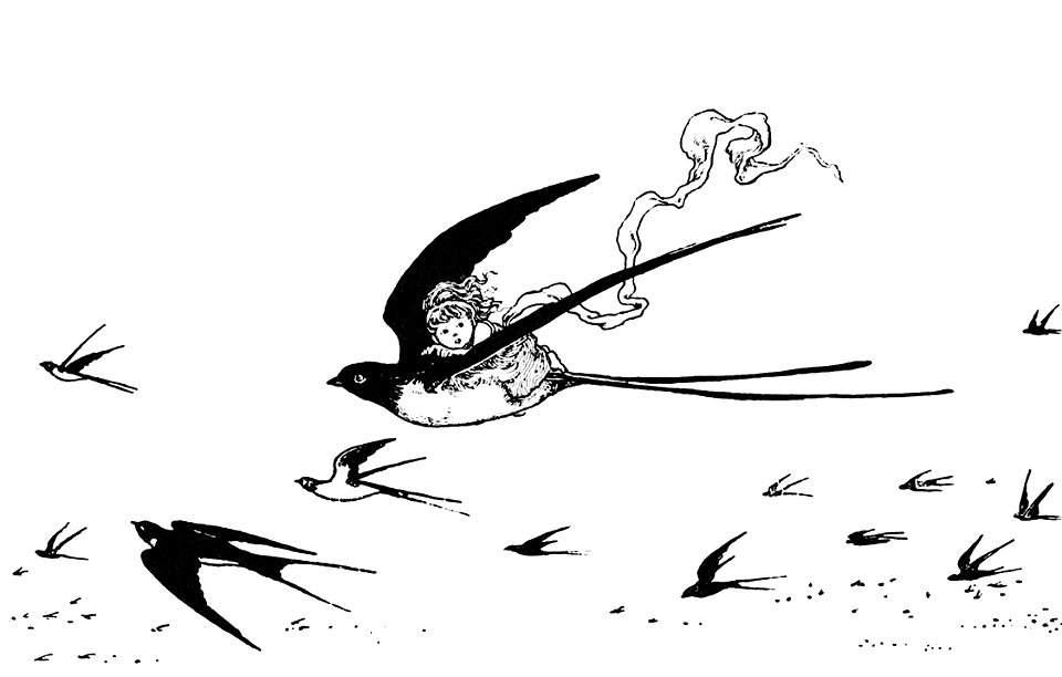 swallow-soared-ready