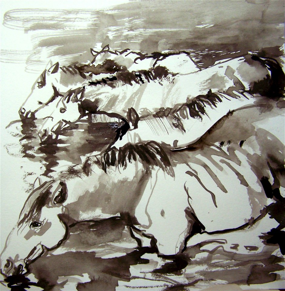 waterhorses