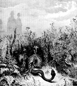 02 The Serpent in Eden