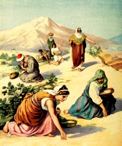 10 Exodus 16 v22-30 Gathering Manna in the Wilderness