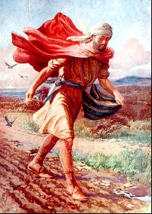 05 The Sower went forth to Sow