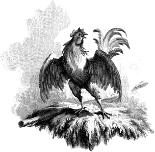 51 Mark 14 v72 Tail-piece to Mark - Cock Crowing (Loutherbourg)
