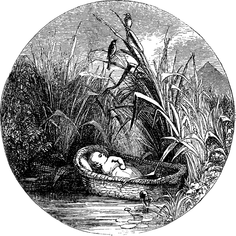 22 Moses in a Basket among the Bulrushes