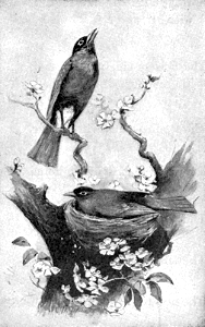 The Robins Prayer