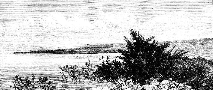 On the shore of the Sea of Galilee