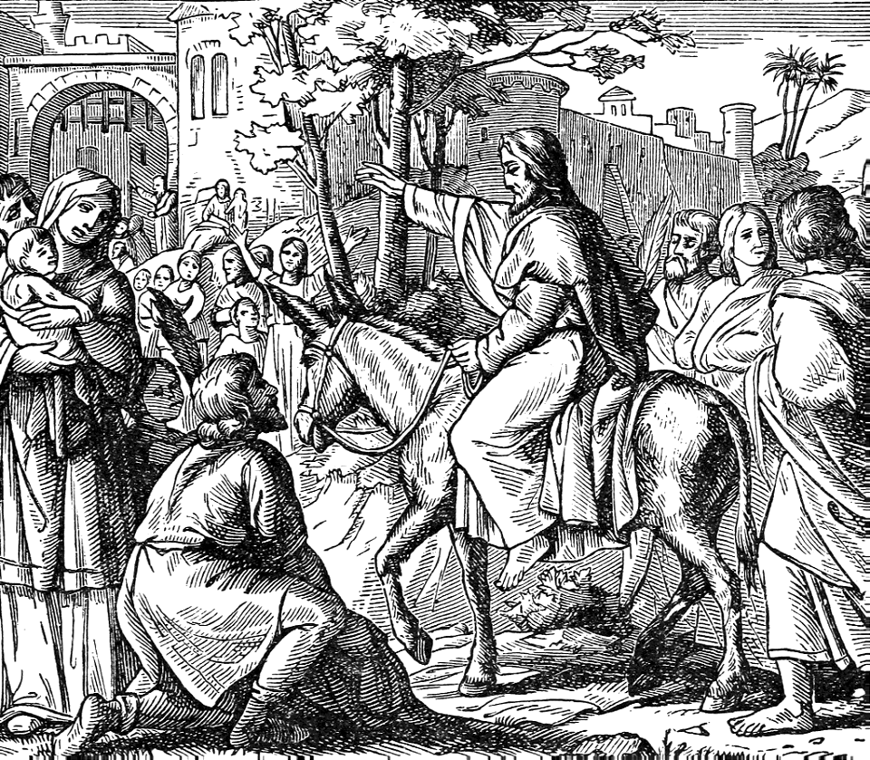 12 Jesus enters Jerusalem (Triumphal Entry)