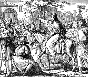 12 Jesus enters Jerusalem (Triumphal Entry)