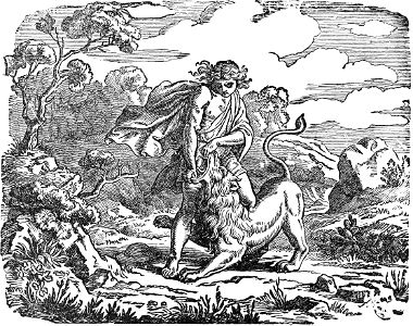 26 David killing a Lion