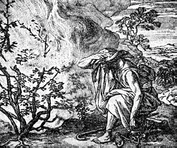 12 The Burning Bush