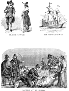 Pictures of the Pilgrims