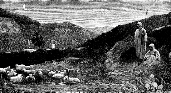 Shepherds watch their Flocks by Night