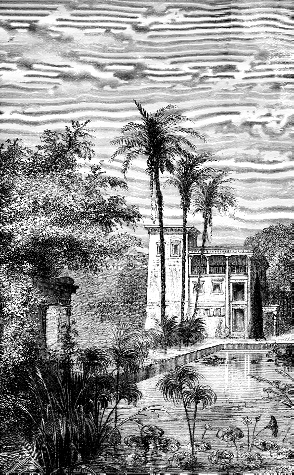 Egyptian Vegetation