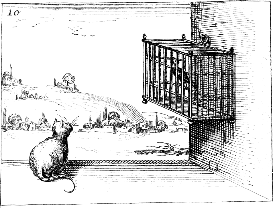 Cat looking at Bird in Cage - restriction or protection