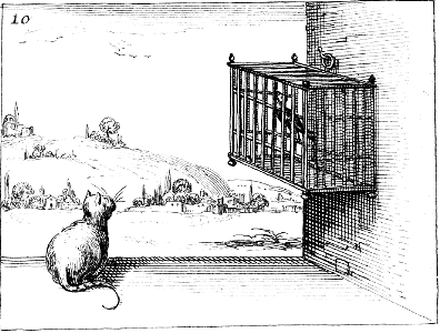 Cat looking at Bird in Cage - restriction or protection