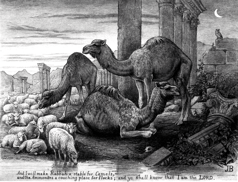 16 Ezekiel 25 v05 I will make Rabbah a stable for Camels