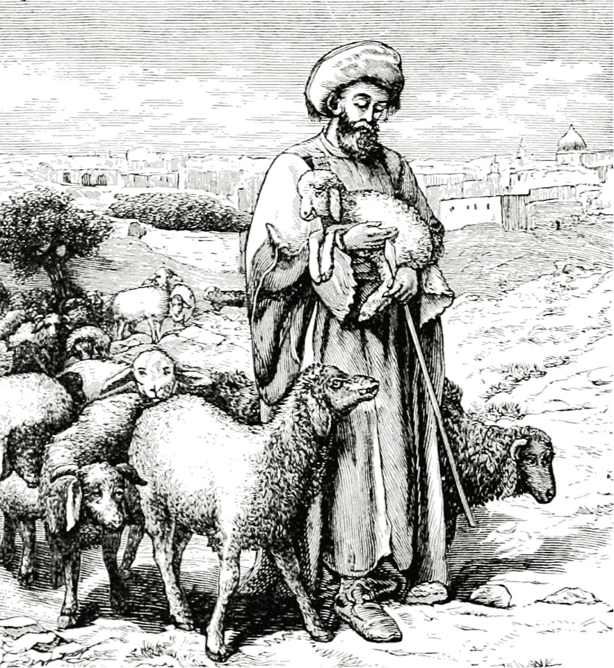 An Eastern Shepherd
