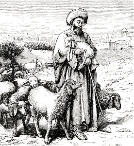 An Eastern Shepherd