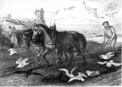 NT01 Matthew 06 v26 Behold the Fowls of the Air