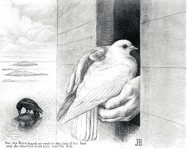 02 Genesis 08 v09 The Dove finds no rest
