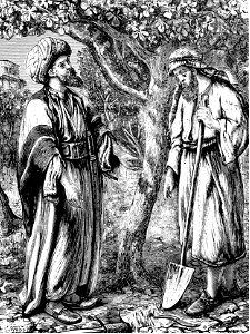 38 The Unfruitful Tree