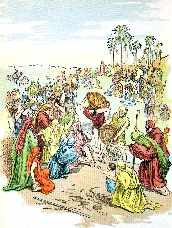 12 Matthew 14 - Feeding of the Five Thousand