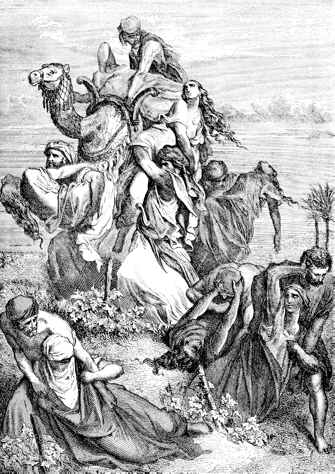 051 Judges 21 v23 The Benjamite Men take the daughters of Shiloh