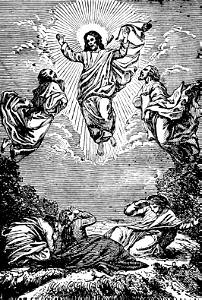 13 Matthew 17 - The Transfiguration