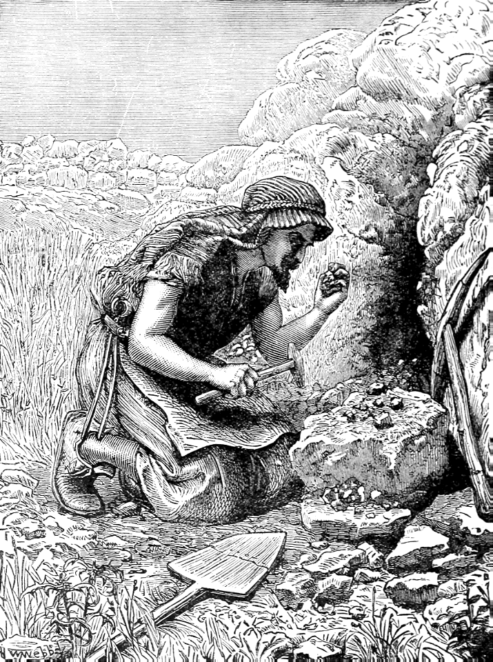 08 Seeking for Treasure