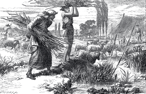 20 Jacob and the Flocks of Laban