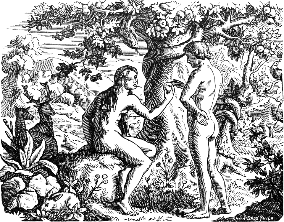 01 The Temptation and Fall